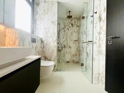 Irwell Hill Residences (D9), Apartment #458602961